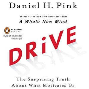 Cover of Drive: The Surprising Truth About What Motivates Us by Daniel H. Pink