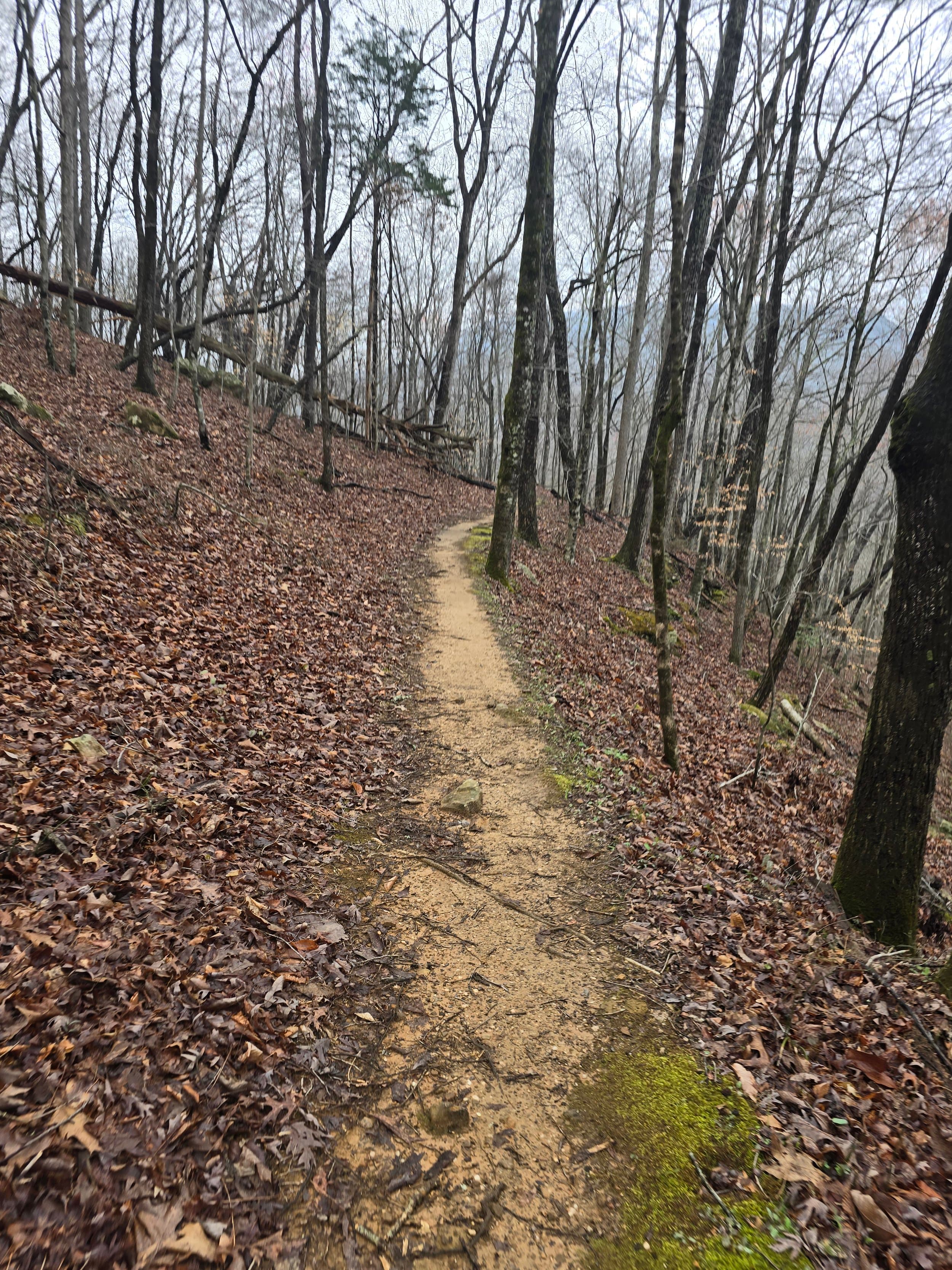 Reject Mediocrity — pursuit of values